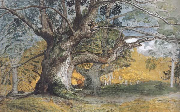 Samuel Palmer Oak Trees,Lullingstone Park Spain oil painting art